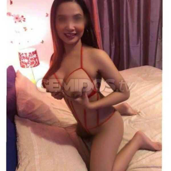 HELLO GENTLEMEN MY NAME IS CINDY I AM A YOUNG SEXY GIRL FROM THAILAND I HAVE A NICE TAN BODY WITH CURVES IN ALL THE RIGHT PLACES BIG BOOBS SEXY ASS MY GENUINE PHOTOS OF ME 100%! *I OFFER FULL GIRLFRIEND EXPERIENCE *CIM *OWO *FRENCH KISSING *THAI OIL MASSAGE I GIVE BEST SERVICE SEE HOW LONG YOU CAN LAST IF YOU WANT HAVE BEST TIME OF YOUR LIFE THEN COME TRY THIS EXOTIC ORIENTAL BEAUTY I AM ALWAYS READY AND WAITING IN SEXY UNIFORM OR LINGERIE NICE CLEAN APARTMENT AND SHOWER AVAILABLE EVERYDAY FROM 10AM TO LATE NO PRIVATE NUMBERS AS WILL NOT BE ANSWERED THANK YOU